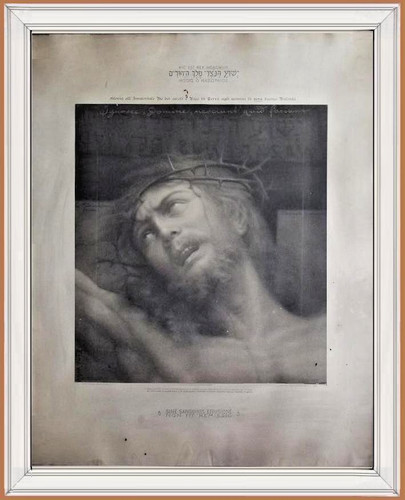 Rara antica grande - , 82x66